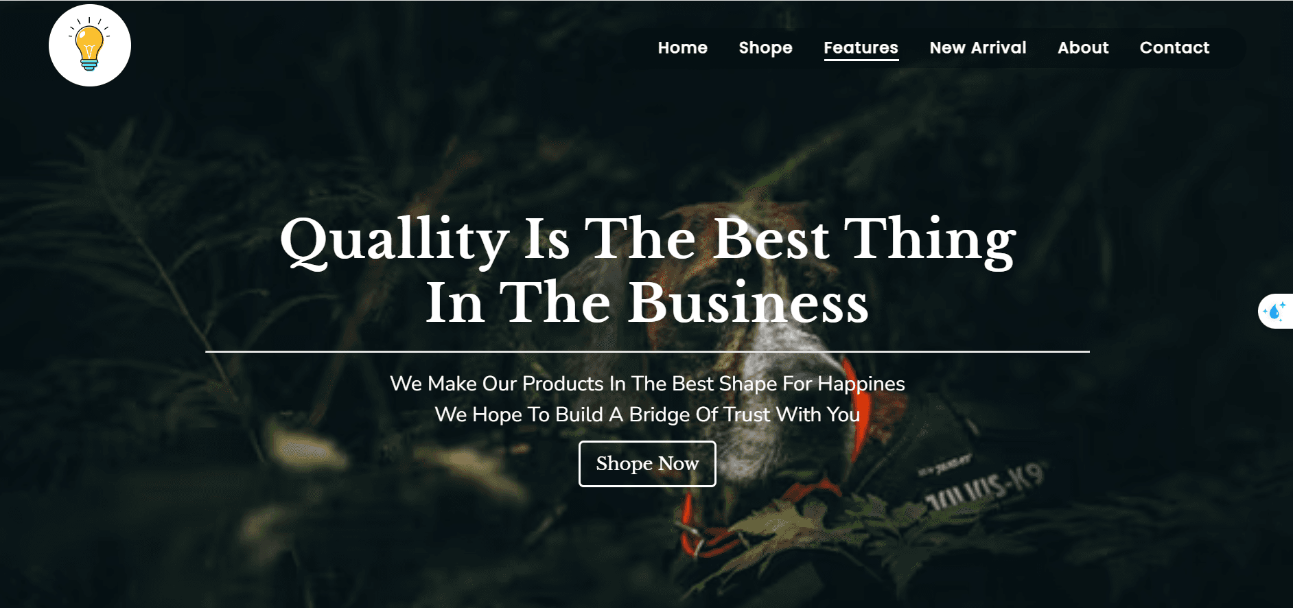 furniture website